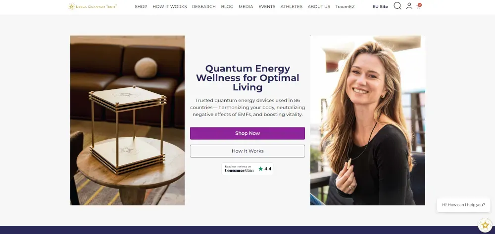 Leela Quantum Tech Website Screenshot